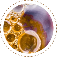 Fulvic Acid